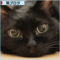 ヒナとお薬_a0389088_06332717.jpg