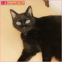 ヒナとお薬_a0389088_06332729.jpg