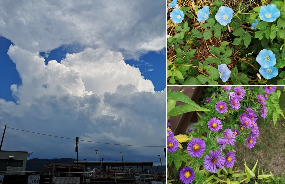 夏の雲_a0212730_21430874.jpg