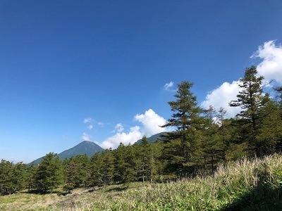 北八ツ散歩?_f0019247_17314071.jpg