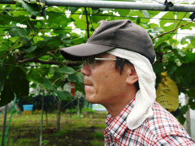 熊本のブランド梨『秋麗(しゅうれい)』令和5年度本日初出荷!数量限定で大好評販売中!_a0254656_17475709.jpg