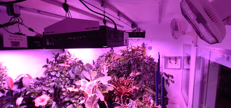 COB 650w LED grow light review_c0408966_11474375.png