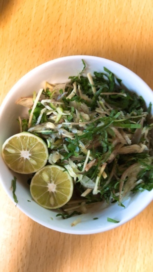薬味野菜はたっぷり_e0151266_17295712.jpeg