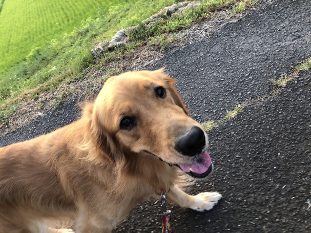 夏休日。_a0394574_13205423.jpeg