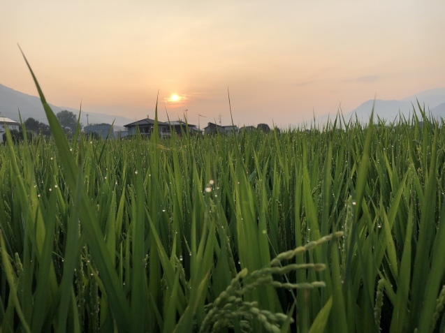 夏休日。_a0394574_13305932.jpeg