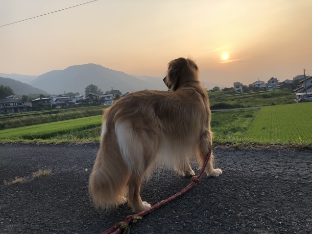 夏休日。_a0394574_13371158.jpeg