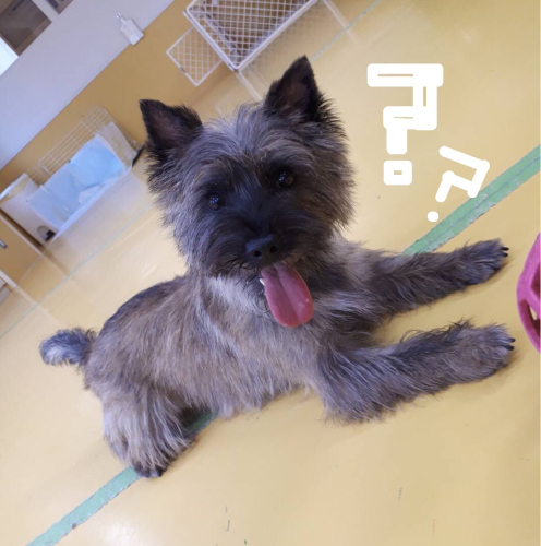 おもちゃ大好き🥎_f0357682_01334758.jpg