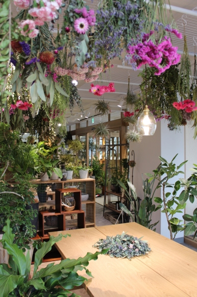 hare-hana plants + さまにて花器のお取り扱い_a0162481_16062733.jpg