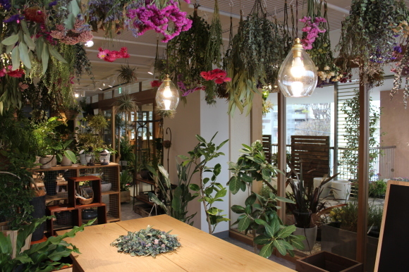 hare-hana plants + さまにて花器のお取り扱い_a0162481_16080574.jpg