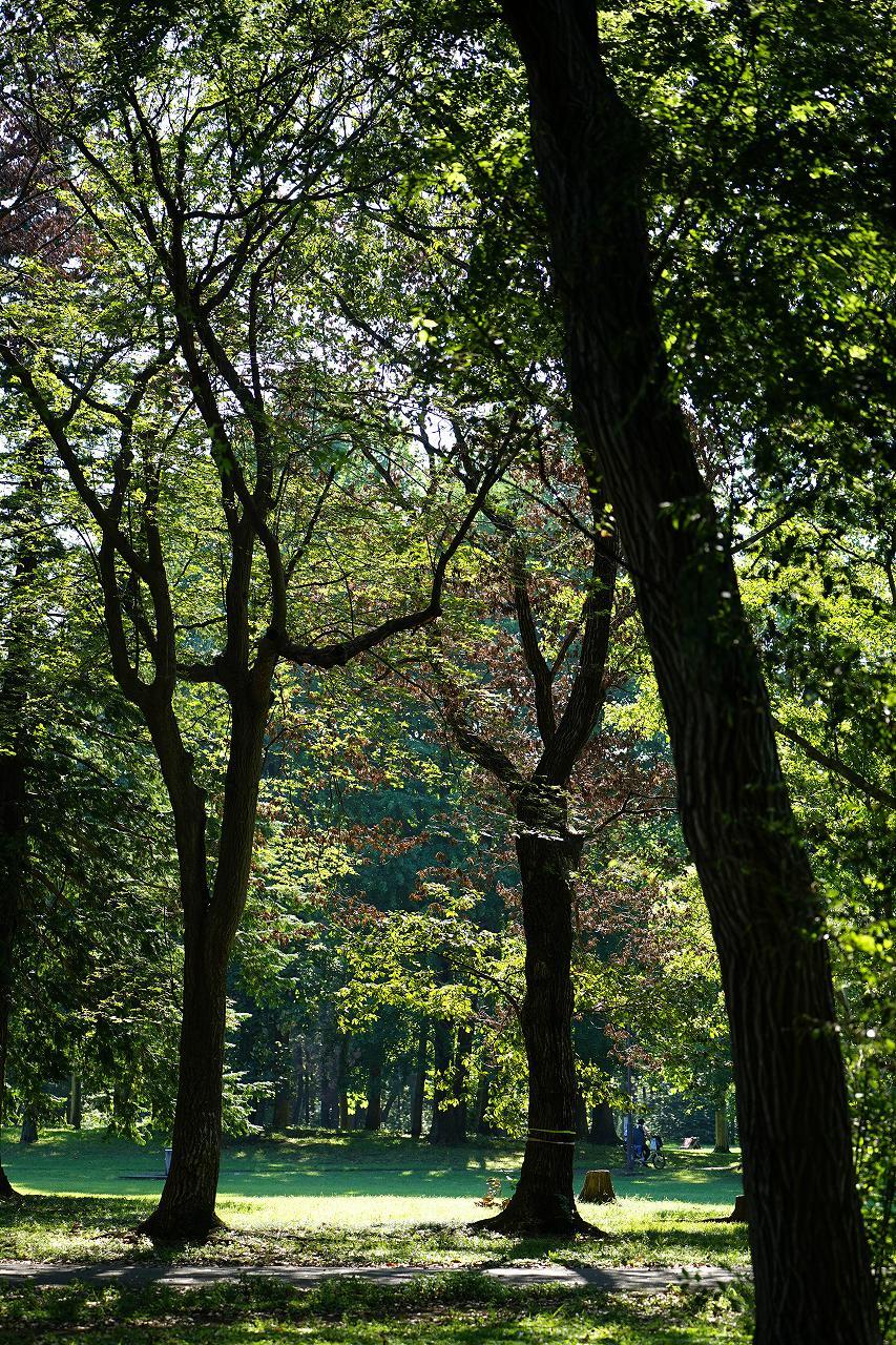 野川公園の風景_b0225108_10363151.jpg