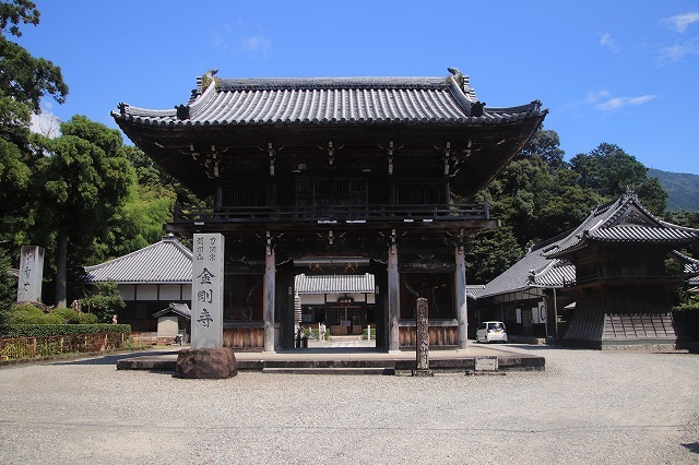 咲き誇る百日紅(撮影:8月22日)_e0321325_10320298.jpg