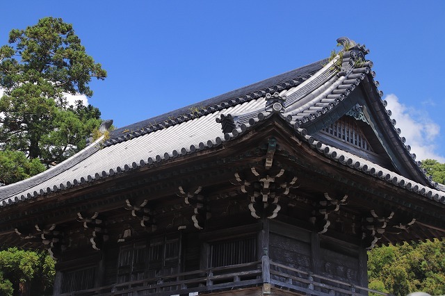 咲き誇る百日紅(撮影:8月22日)_e0321325_10333620.jpg