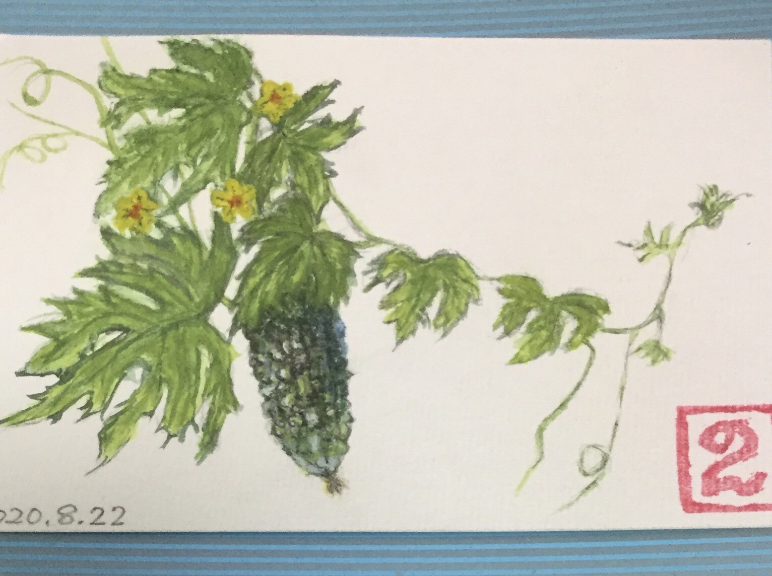 力み過ぎたゴーヤ2絵手紙 短歌なページ