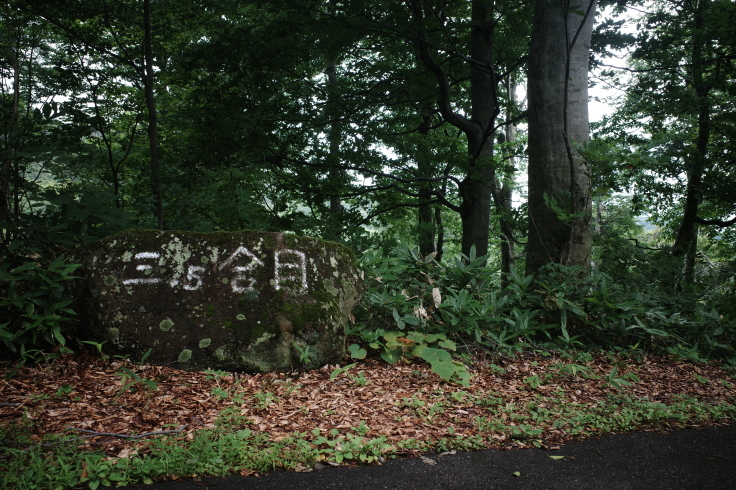 ブロンプトンと初めての輪行 その4_a0287336_10102174.jpg