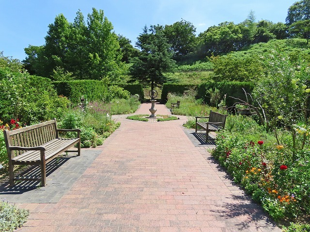 深山イギリス庭園 4 5 8月14日 夢民谷住人の日記4
