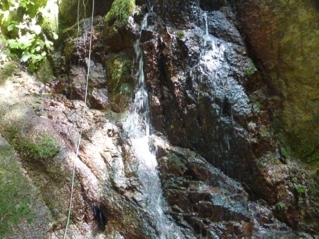 涼しい沢筋を歩く　『摩耶東谷』_c0218841_11565544.jpg