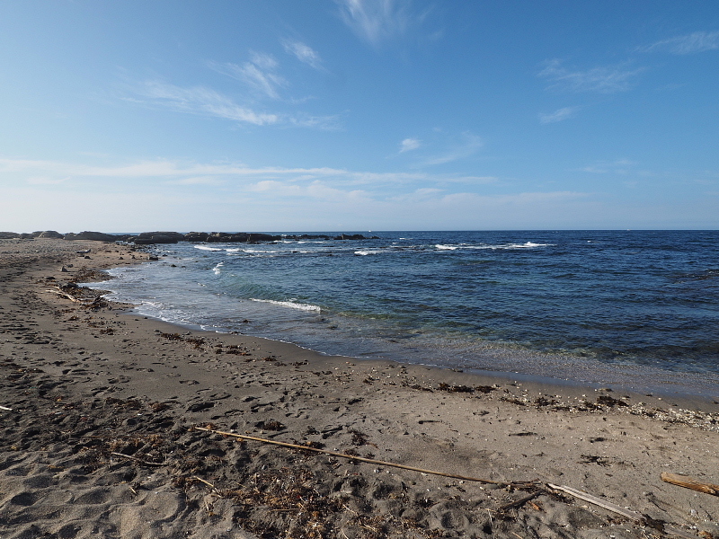 【ありがとう 白浜フラワーパーク Ocean\'s ② 】2日目・ひまわり草太くん編_b0008655_23241600.jpg