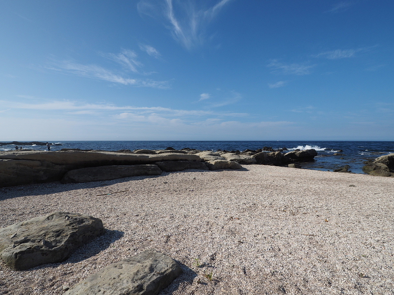 【ありがとう 白浜フラワーパーク Ocean\'s ② 】2日目・ひまわり草太くん編_b0008655_23251932.jpg