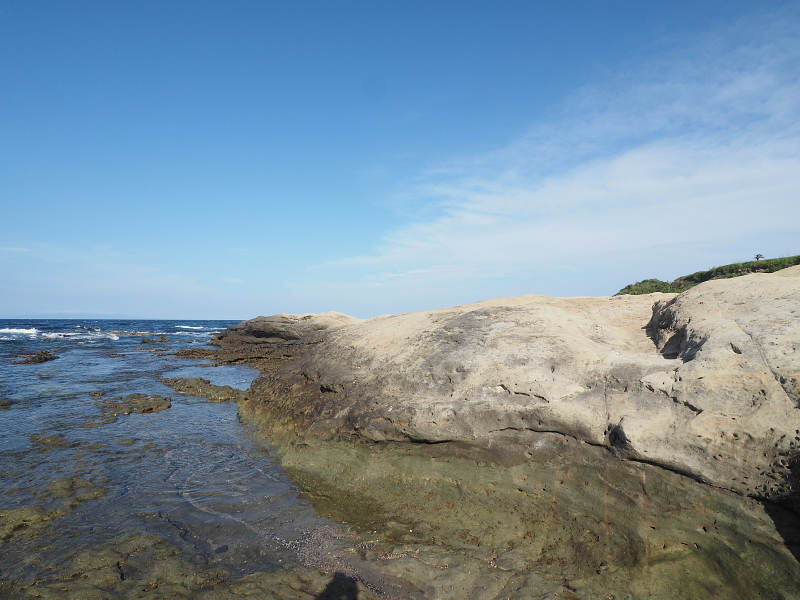 【ありがとう 白浜フラワーパーク Ocean\'s ② 】2日目・ひまわり草太くん編_b0008655_23253358.jpg