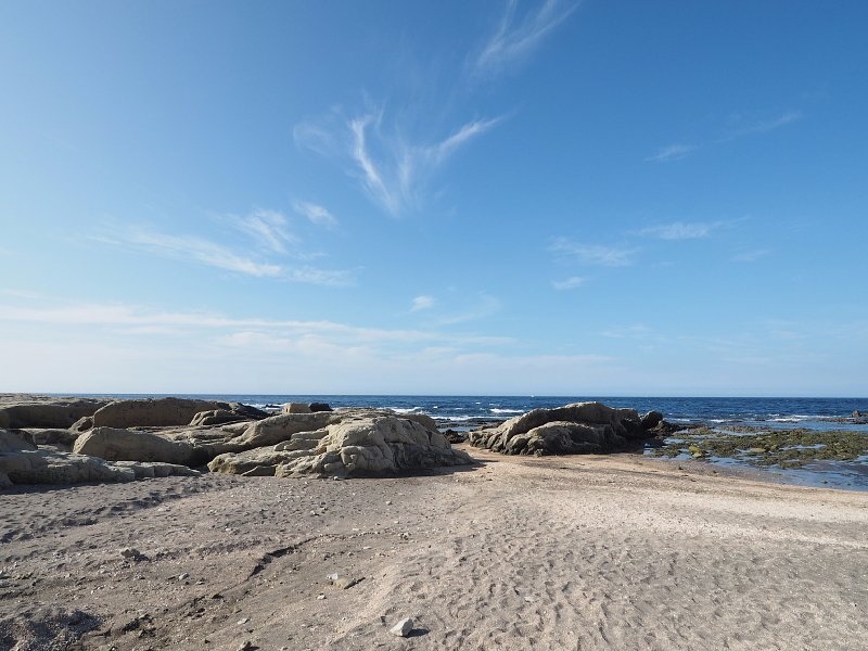【ありがとう 白浜フラワーパーク Ocean\'s ② 】2日目・ひまわり草太くん編_b0008655_23261760.jpg