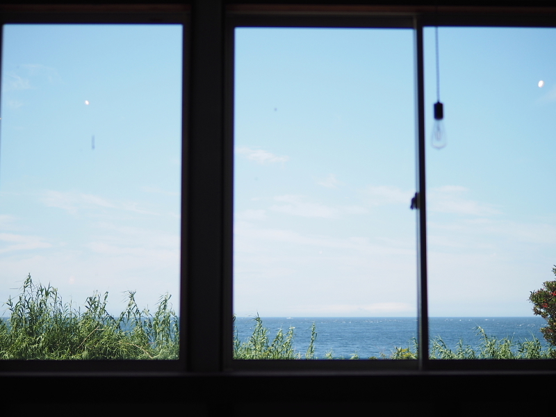 【ありがとう 白浜フラワーパーク Ocean\'s ② 】2日目・ひまわり草太くん編_b0008655_23295911.jpg