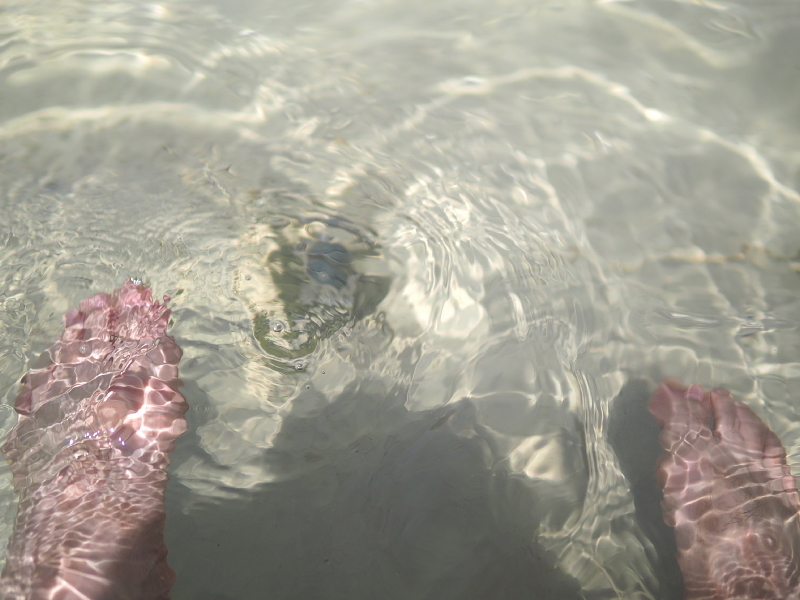 【ありがとう 白浜フラワーパーク Ocean\'s ② 】2日目・ひまわり草太くん編_b0008655_23385768.jpg