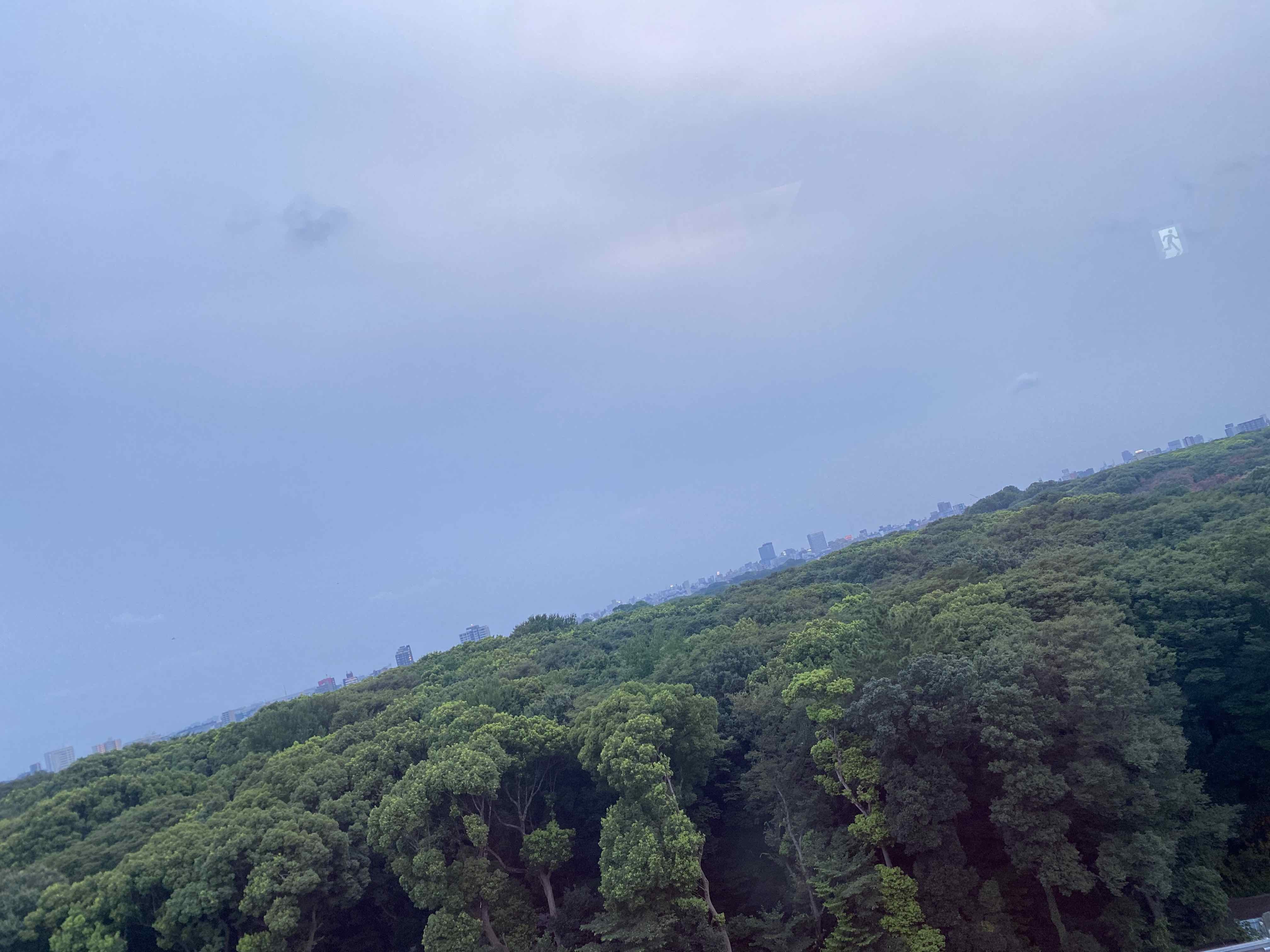 特別な夏_c0113755_14535016.jpg