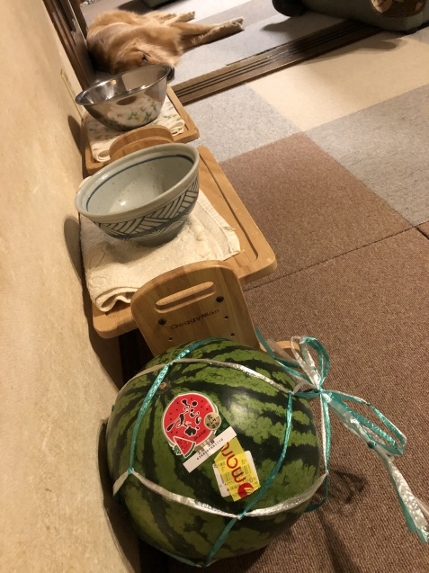 マインドコントロール。_a0394574_23435409.jpeg