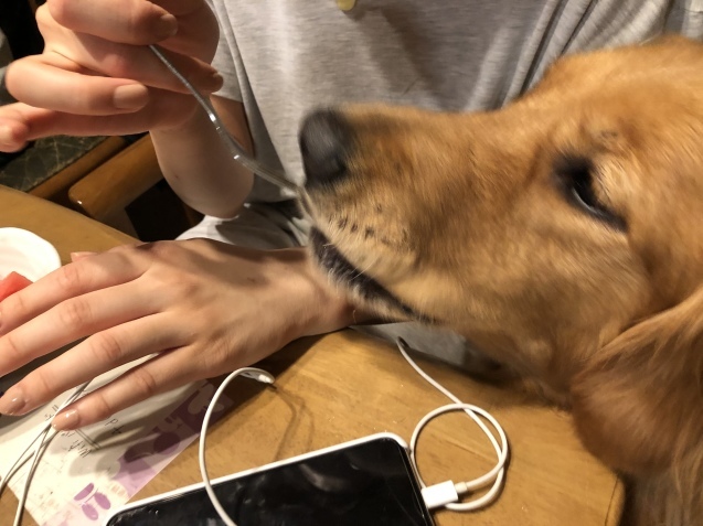 マインドコントロール。_a0394574_23455020.jpeg