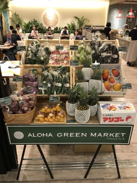 ご縁でつながる日本一のパプリカ!臼杵のはしもと農園_f0032081_11070618.jpeg