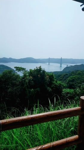 窯焚き終了して神社へ_d0195183_13174293.jpg