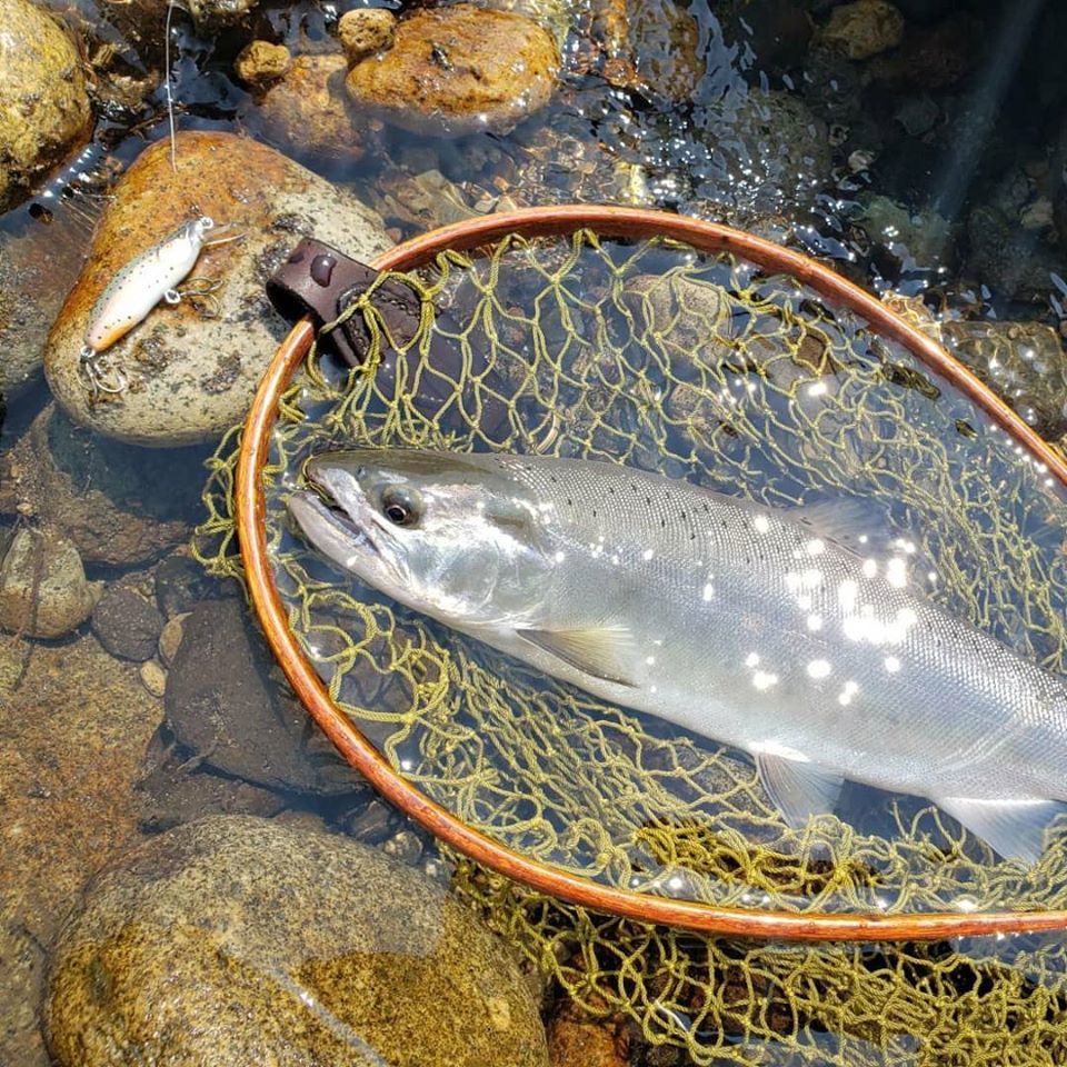 釣果の便り 群馬県 Charms Handmade Works チャームスハンドメイドワークス 釣果の便り 群馬県 Charms Handmade Works チャームスハンドメイドワークス