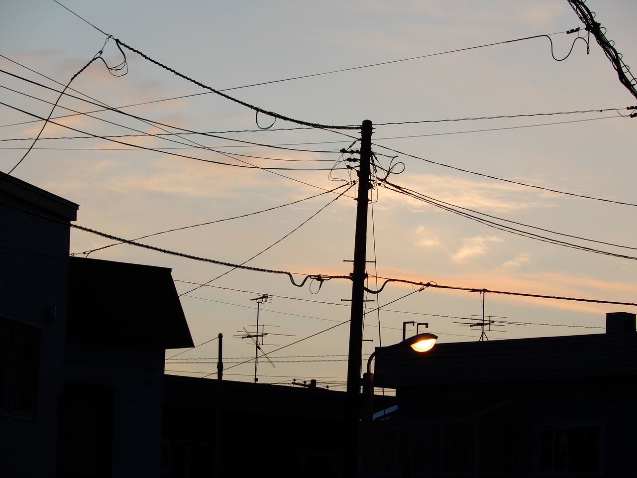 冷えた朝と暑い午後_c0025115_21284373.jpg