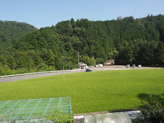 いいお天気_c0116915_23572509.jpg