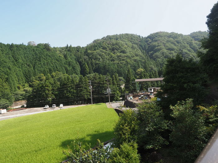 いいお天気_c0116915_23573256.jpg