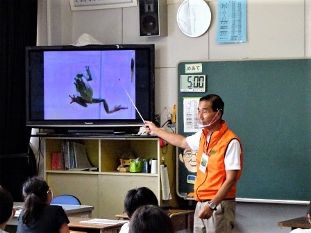 小学校訪問授業（一緒に森へ行こう）　豊川市立中部小学校_d0105723_16272497.jpg