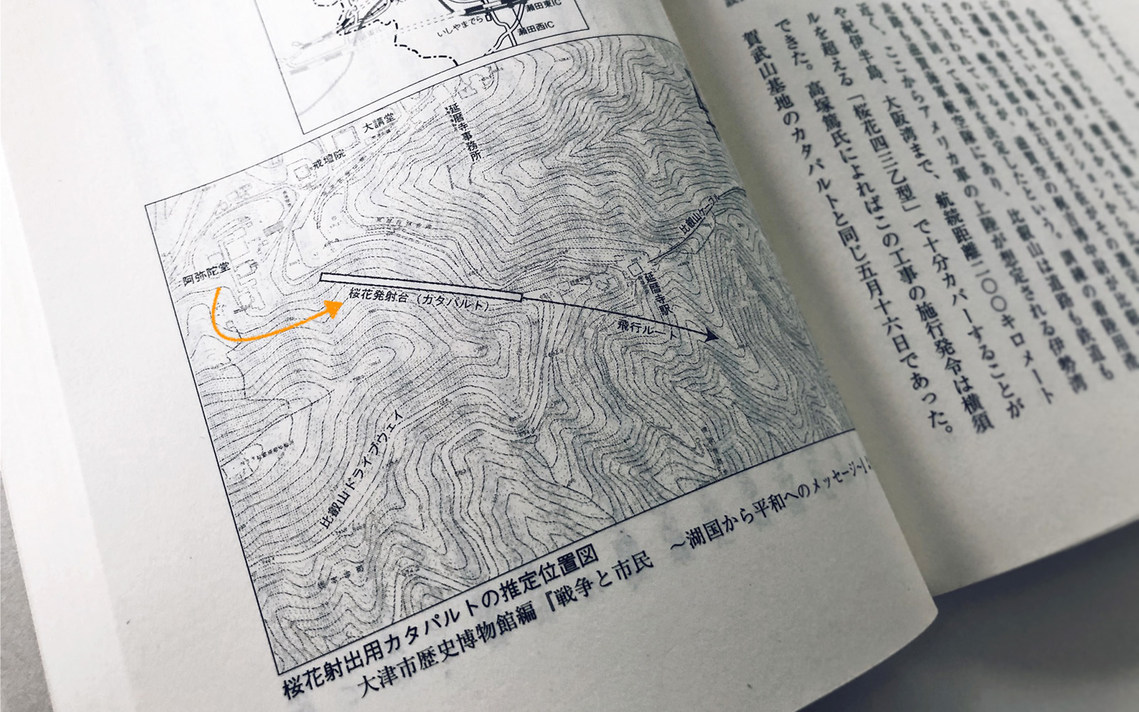 開発との遭遇: 第三世界の発明と解体 : Amazon.sg: Books