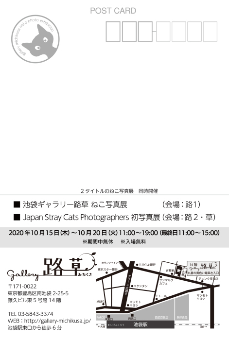 ねこ写真展