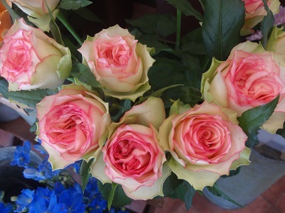 かわいいヒペリ フラワーショップデリカの花日記 かわいいヒペリ フラワーショップデリカの花日記