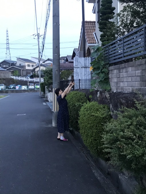 カボチャの受粉をお手伝い_b0100062_04532863.jpeg