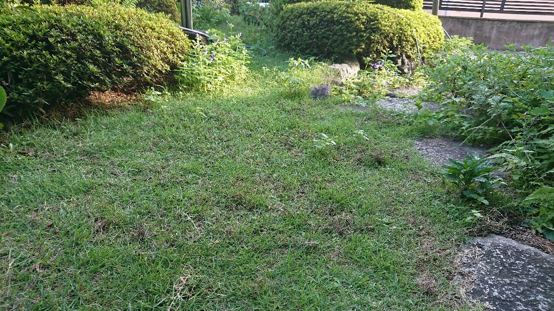 立派な高齢者ですが、、、_b0116765_14484204.jpg