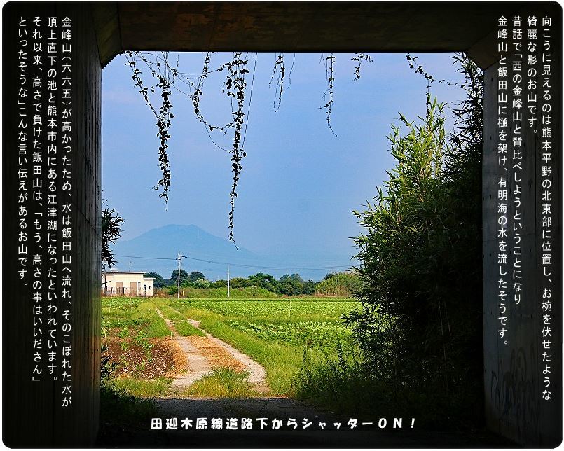 赤とんぼに遇えた!登ってみたい飯田山向こうに…散歩は楽し_d0102968_15105454.jpg