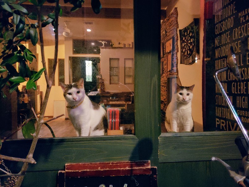 Good Bye 猫に優しいカフェ_c0193077_11313434.jpg