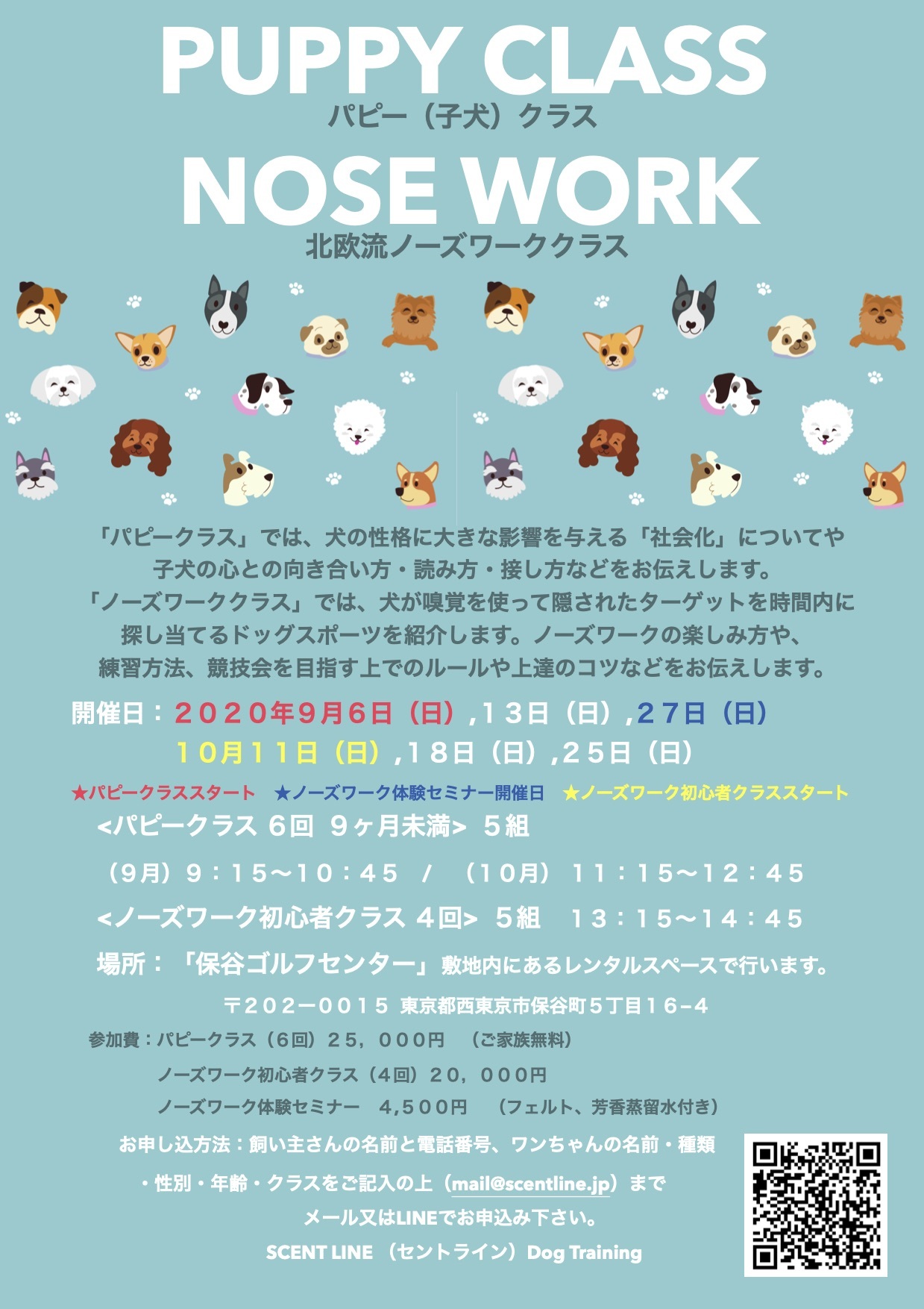 <9月>パピークラス&ノーズワーク体験セミナーのお知らせ_c0099133_12274509.jpg