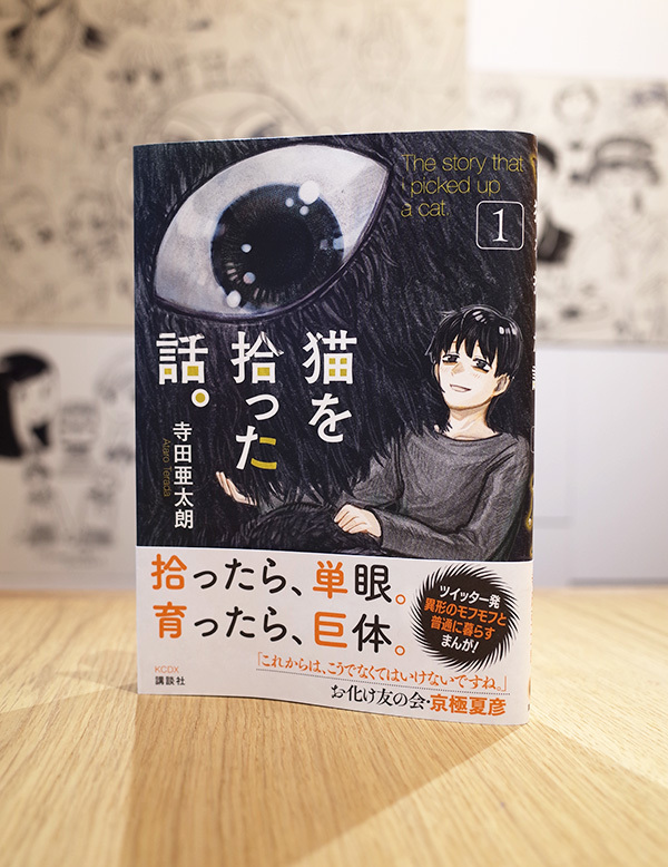 Works Comic 猫を拾った話 本 のデザイン ナルティス ーnarti S Blogー