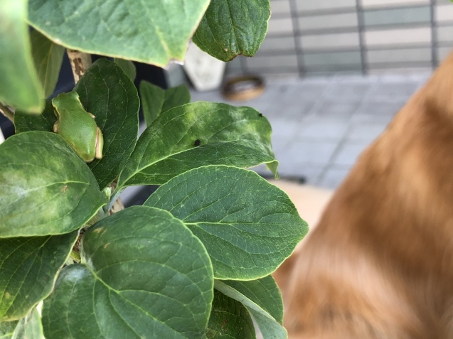 猛省。_a0394574_10461266.jpeg