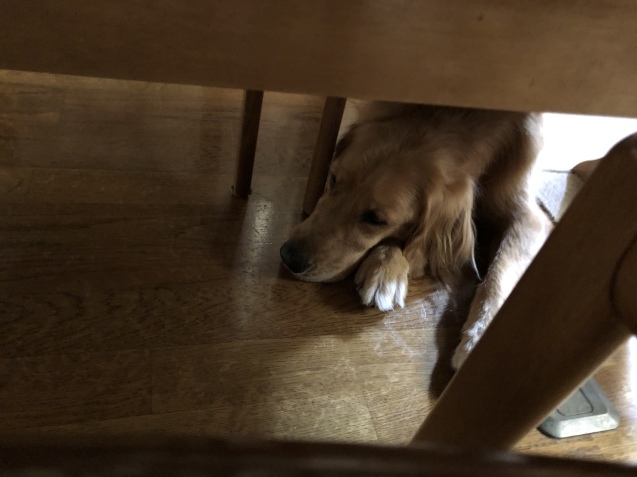 猛省。_a0394574_10474335.jpeg