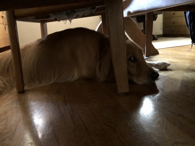 猛省。_a0394574_10503841.jpeg
