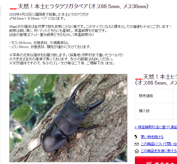 くわがた散歩道