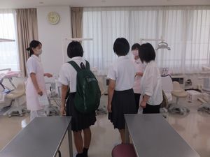 個別相談会を行いました_e0196791_08592897.jpg